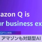 アマゾンも企業向け対話型AI ChatGPTに対抗【WBS】（2023年11月29日）
