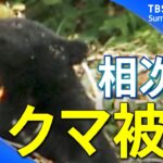 【熊】人的被害 “過去最悪ペース” 住宅街にも出没… エサ不足で行動範囲拡大か　遭遇したときの対応は【関連ニュースまとめ】｜TBS NEWS DIG