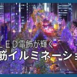 冬の大阪彩る　御堂筋イルミネーション2023