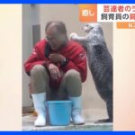 「肩をたたく手が優しいね」三重県の鳥羽水族館でお互いをい労いあう？飼育員とラッコがSNSで話題に！19万超のいいねを獲得する癒しの動画｜TBS NEWS DIG