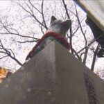 渋谷 年越しカウントダウンでハチ公像周辺“封鎖”と白い布(2023年12月31日)