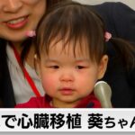 2歳の女の子 心臓移植終え元気に帰国　術後の経過は順調（2023年12月25日）