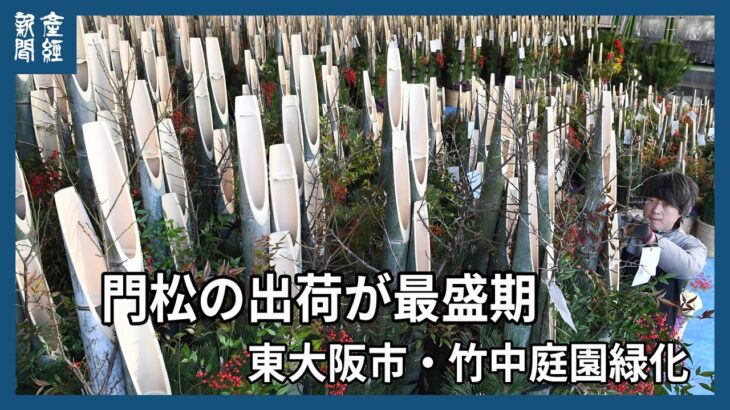 門松出荷ピーク