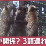 クリスマスも相次ぐ“クマ出没”　シカが関係？「3頭連れクマ」増加の理由【スーパーJチャンネル】(2023年12月25日)
