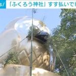 栃木“ふくろう神社”ですす払い　ピカピカ“金のフクロウ”で金運アップ！？(2023年12月9日)