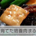 お肉食べない日はくる？　培養肉を焼く