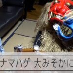 「YouTubeばっか見てねがぁ？」大みそかに響くナマハゲの声