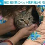 被災者対象にペット無料預かり　石川県獣医師会(2024年1月20日)