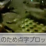 【能登半島地震】新潟で地割れ　点字ブロック散乱