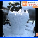 「素人とは思えないクオリティー」精巧な雪像の数々　住宅の庭で“ひとり雪まつり”｜TBS NEWS DIG