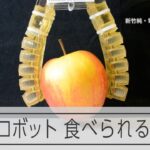 ぐにゃりと曲がるソフトロボット　国内外で研究進む