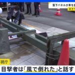 東京で最大瞬間風速26.2メートル“台風並み”の強風 「ディズニーのパレードは中止」 散歩中のポメラニアンは強風オールバック【news23】｜TBS NEWS DIG