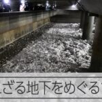 知られざる札幌の地下ツアー　出会ったのは・・・