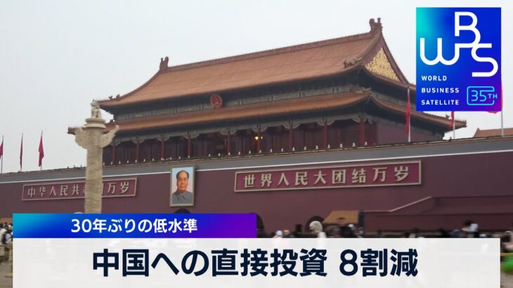 中国への直接投資 8割減　30年ぶりの低水準【WBS】（2024年2月19日）