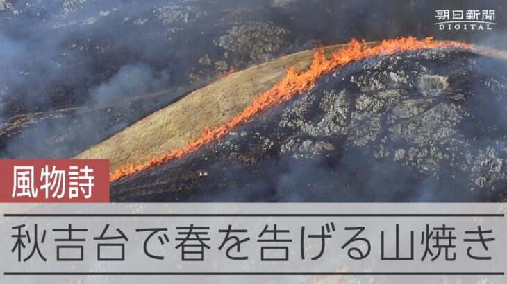 春の訪れを告げる真っ赤な炎　日本最大級のカルスト台地「秋吉台」