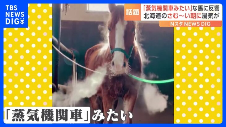 「蒸気機関車みたい」寒い時期によく見るという光景が話題に｜TBS NEWS DIG