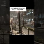 大雪に見舞われた東京 #幻想的な光景 #皇居 #吹きすさぶ雪