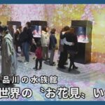 海の世界の〝お花見〟いかが－　東京・品川の水族館