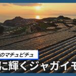 【探訪】「九州のマチュピチュ」黄金に輝く棚畑　長崎・南串山