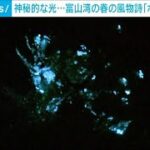 “幻想的な光”を観光船から見物　富山湾の春の風物詩「ホタルイカ漁」(2024年3月24日)