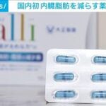 大正製薬　国内初の内臓脂肪減少薬　来月発売へ(2024年3月4日)