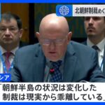 北朝鮮制裁の専門家パネル“任期延長”を否決　ロシアが拒否権行使　国連安保理｜TBS NEWS DIG