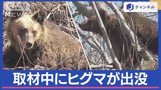 ヒグマ出没“9日連続”厳戒態勢の町【スーパーJチャンネル】(2024年3月19日)