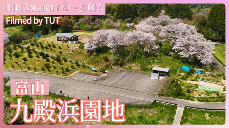 復興を見守る高台に咲くサクラ　富山県氷見市【JNN sakuraドローンDIG 2024】