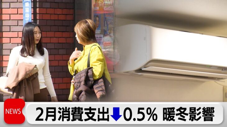 2月消費支出12カ月連続マイナス 暖冬で電気・ガス減少（2024年4月5日）