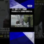 「トー横キッズ」一斉補導　小6女児ら31人　北海道や宮城からも #shorts