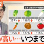 「野菜が高い」食卓を“直撃”…今が旬「春キャベツ」も高騰、不作で旬の「イチゴ狩り」休止に、今後の価格は？【Nスタ解説】｜TBS NEWS DIG