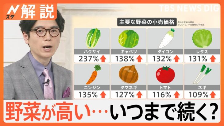 「野菜が高い」食卓を“直撃”…今が旬「春キャベツ」も高騰、不作で旬の「イチゴ狩り」休止に、今後の価格は？【Nスタ解説】｜TBS NEWS DIG