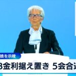 次回利下げ転換を示唆　ECB金利据え置き 5会合連続【WBS】（2024年4月11日）
