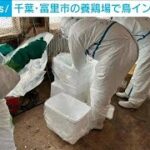 千葉・富里市の養鶏場で鳥インフルエンザ　6万3000羽を殺処分へ(2024年4月29日)