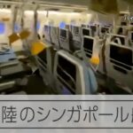 シンガポール航空の機体が乱気流で緊急着陸　着陸後の機体の内部を捉えた映像
