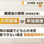 共同親権改正案　きょう成立へ【知っておきたい！】【グッド！モーニング】(2024年5月17日)