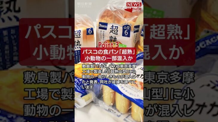 【2024年5月8日のNEWS 1 minute】 #shorts