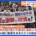 「人生が狂わされた」旧優生保護法の不妊手術めぐる国家賠償訴訟　最高裁大法廷で弁論　今夏にも判決言い渡しの見通し｜TBS NEWS DIG