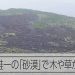 伊豆大島の観光名所「裏砂漠」で火災、25ヘクタール焼ける