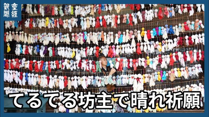 てるてる坊主で晴れ祈願　奈良県五條市