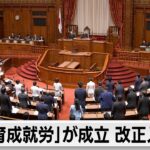 技能実習制度を廃止　「育成就労」が成立 改正入管法