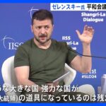 ゼレンスキー大統領、ウクライナ平和会議めぐり「中国が各国に参加しないよう働きかけている」と批判　中国、すでに会議の欠席表明｜TBS NEWS DIG