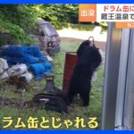 危険！各地でクマ出没！栃木・日光市ではドラム缶にじゃれつくクマが！｜TBS NEWS DIG