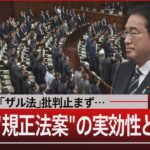 ｢抜け道｣｢ザル法｣批判止まず…急いだ”規正法案”の実効性と代償は【6月7日(金)#報道1930】| TBS NEWS DIG