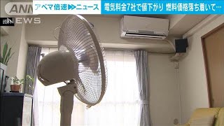 8月の電気料金　東京電力など7社で値下がり　都市ガスは大手4社すべてで値下がり(2024年6月27日)
