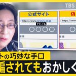 急増する偽ショッピングサイト「殺すぞ」「家に火つけるぞ」電話番号などが勝手に偽サイトに転載され脅迫…消費者教育の専門家もだまされた巧妙な手口とは【news23】｜TBS NEWS DIG