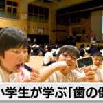 全国小学校歯みがき大会　過去最多の約30万人が参加へ