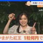 話題のさくらんぼの新品種がデビュー。大粒で甘く、落札価格はなんと1粒10万円！絶品さくらんぼパフェも！山形・天童市の果樹園をすたすた！｜TBS NEWS DIG