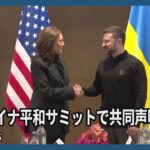 ウクライナ平和サミットで共同声明採択　新興国など署名せず、中国欠席