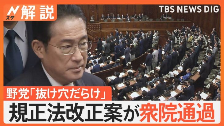 政治資金規正法改正案が衆院通過、国民感覚とのズレ浮き彫り、政府関係者「こういう形にするしかなかった」【Nスタ解説】｜TBS NEWS DIG